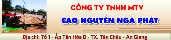 CONG-TY-TNHH-MTV-CAO-NGUYEN-NGA-PHAT
