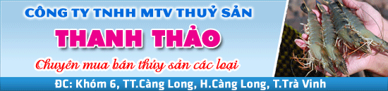 CONG-TY-TNHH-MTV-THUY-SAN-THANH-THAO