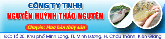 CONG-TY-TNHH-NGUYEN-HUYNH-THAO-NGUYEN